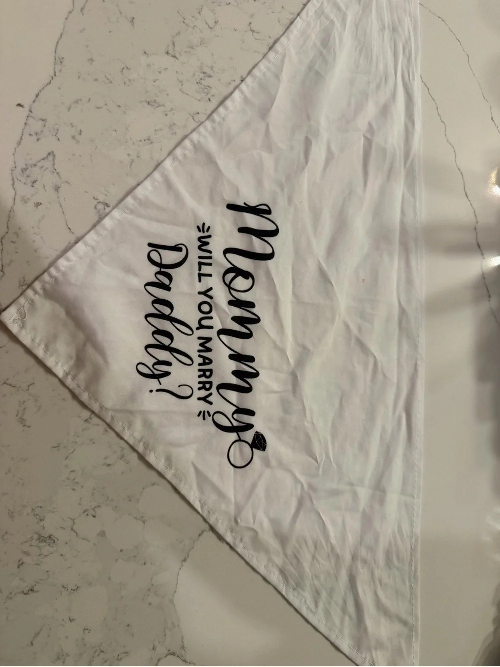 Like New Unbranded Dog Bandana – Engagement & Proposal Announcement